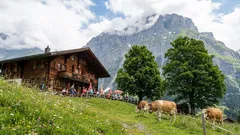 In diesen Ländern werden Touristen mit offenen Armen empfangen: stressfreies Reisen