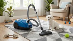 Frühjahrspelzwechsel: Tierhaare von Teppichen entfernen